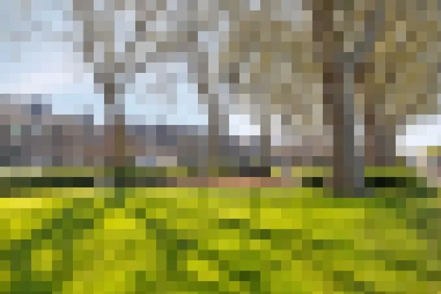 Axelsestraat 52 a Terneuzen thumbnail 36