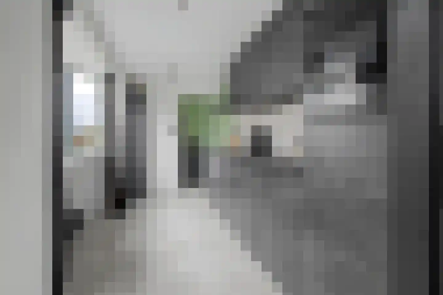 Axelsestraat 55 Zaamslag thumbnail 13