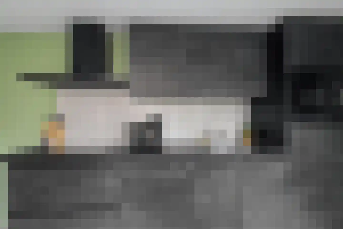 Axelsestraat 55 Zaamslag thumbnail 14