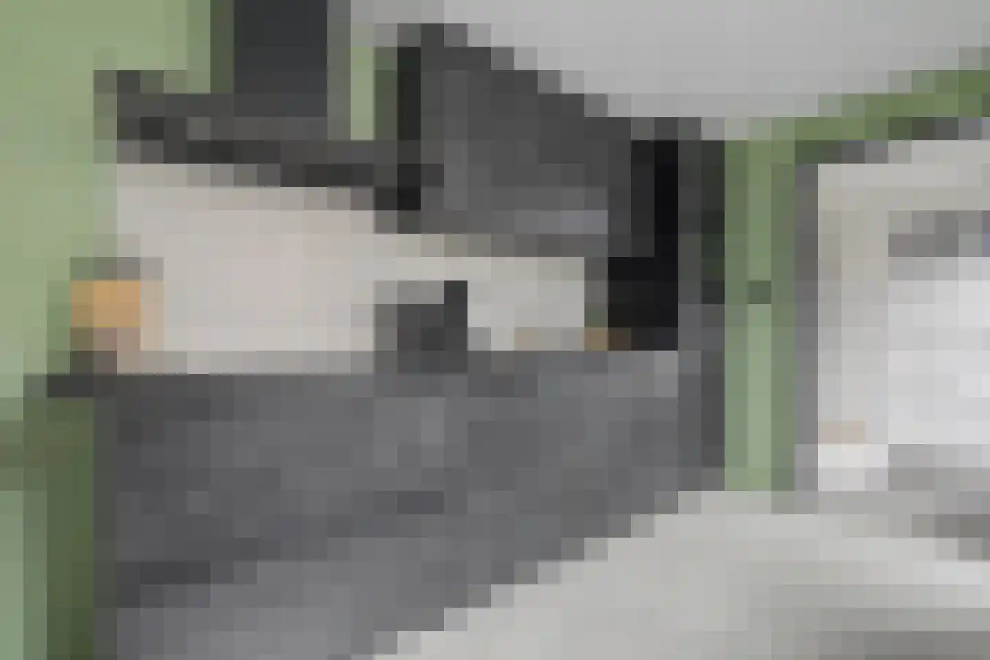 Axelsestraat 55 Zaamslag thumbnail 16
