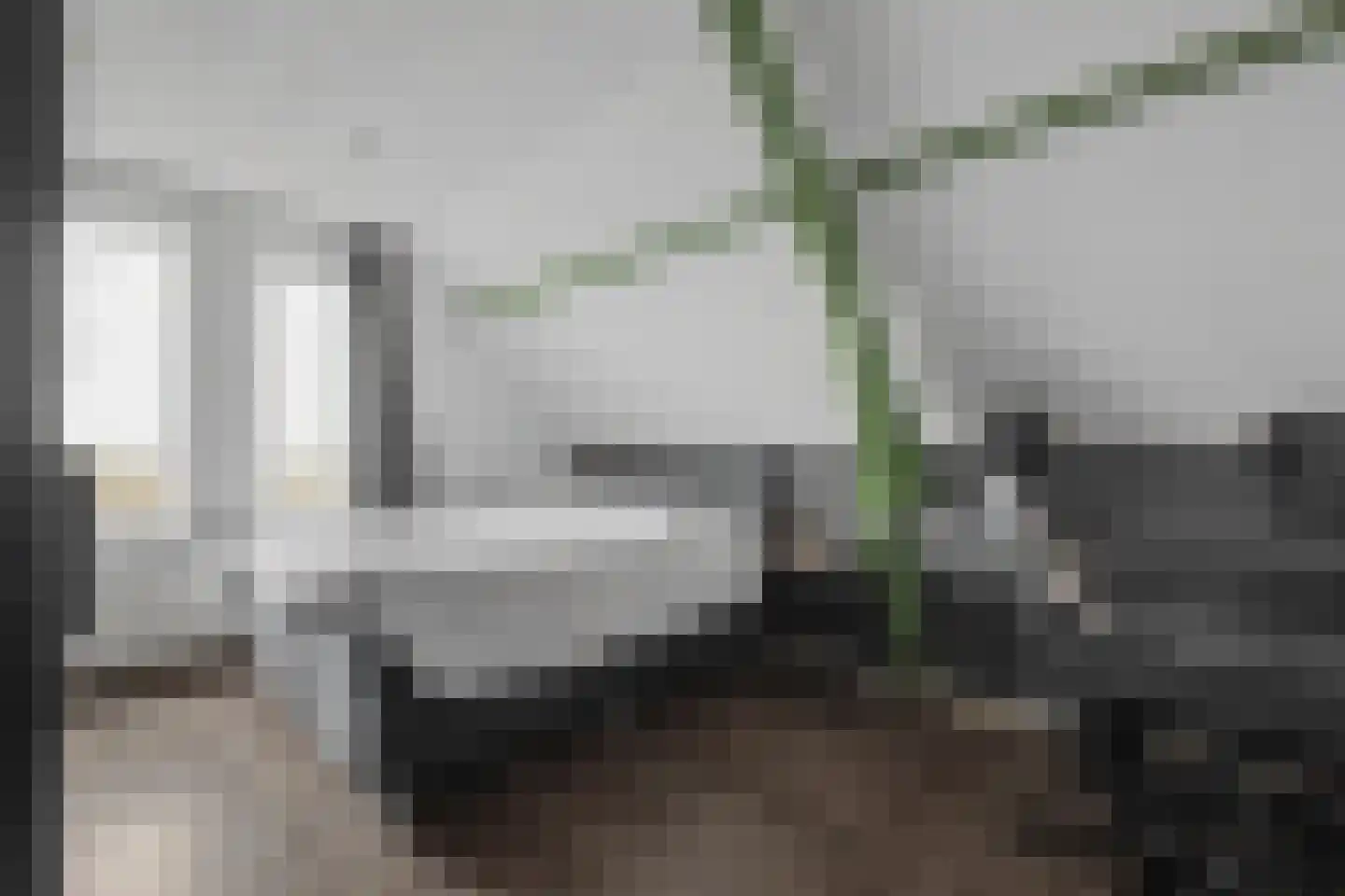 Axelsestraat 55 Zaamslag thumbnail 22