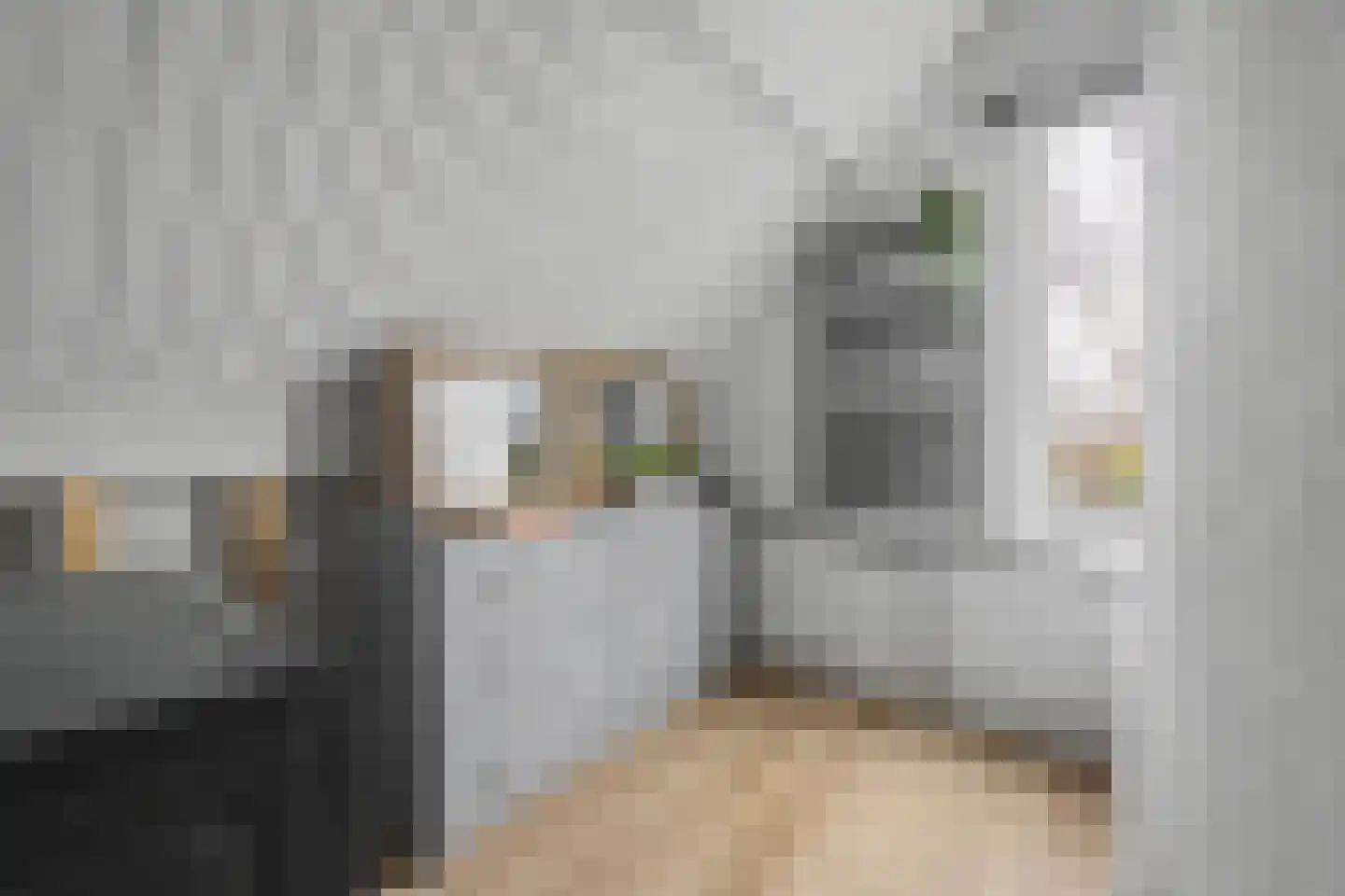 Axelsestraat 55 Zaamslag thumbnail 28