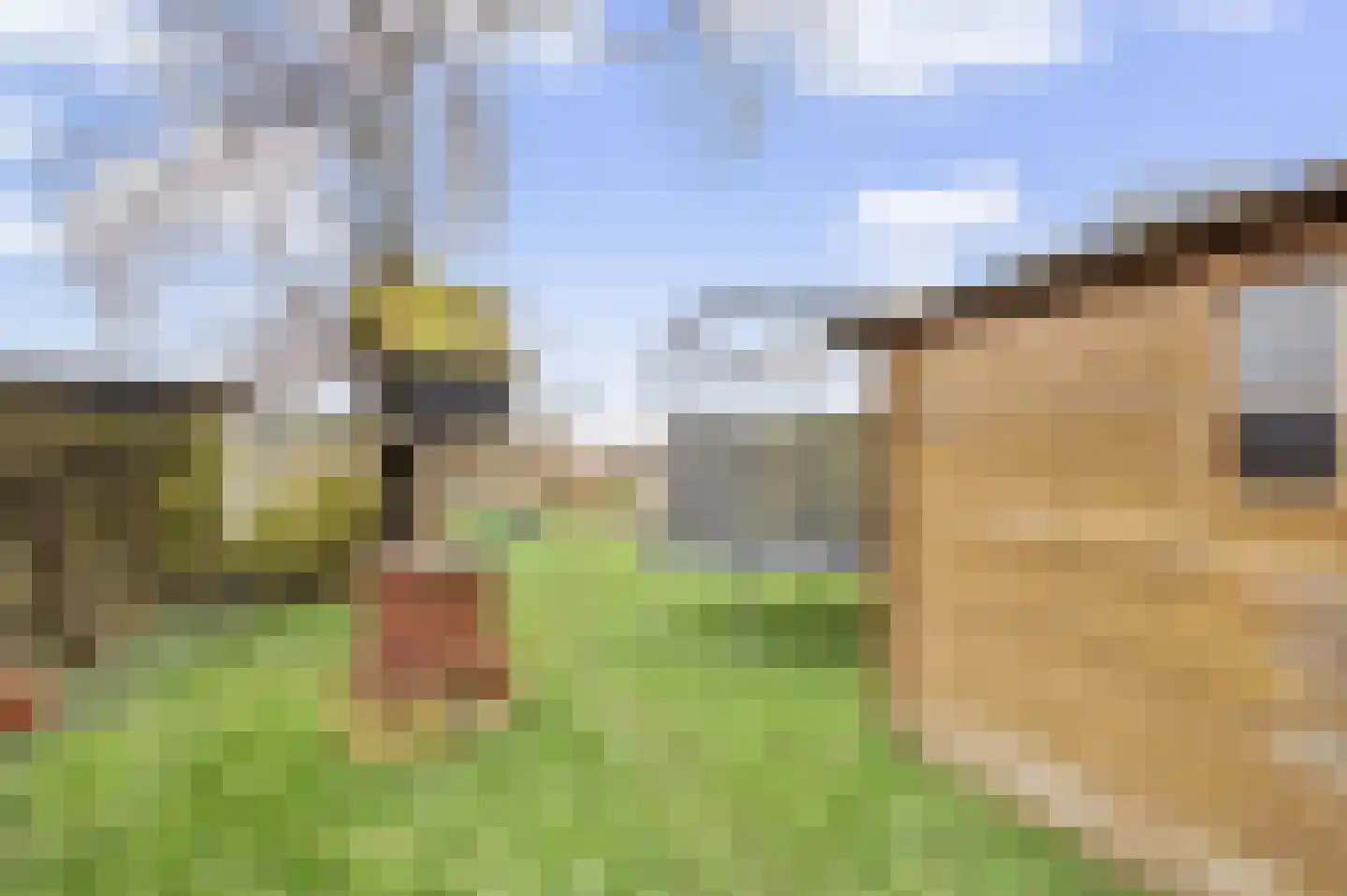 Axelsestraat 55 Zaamslag thumbnail 31