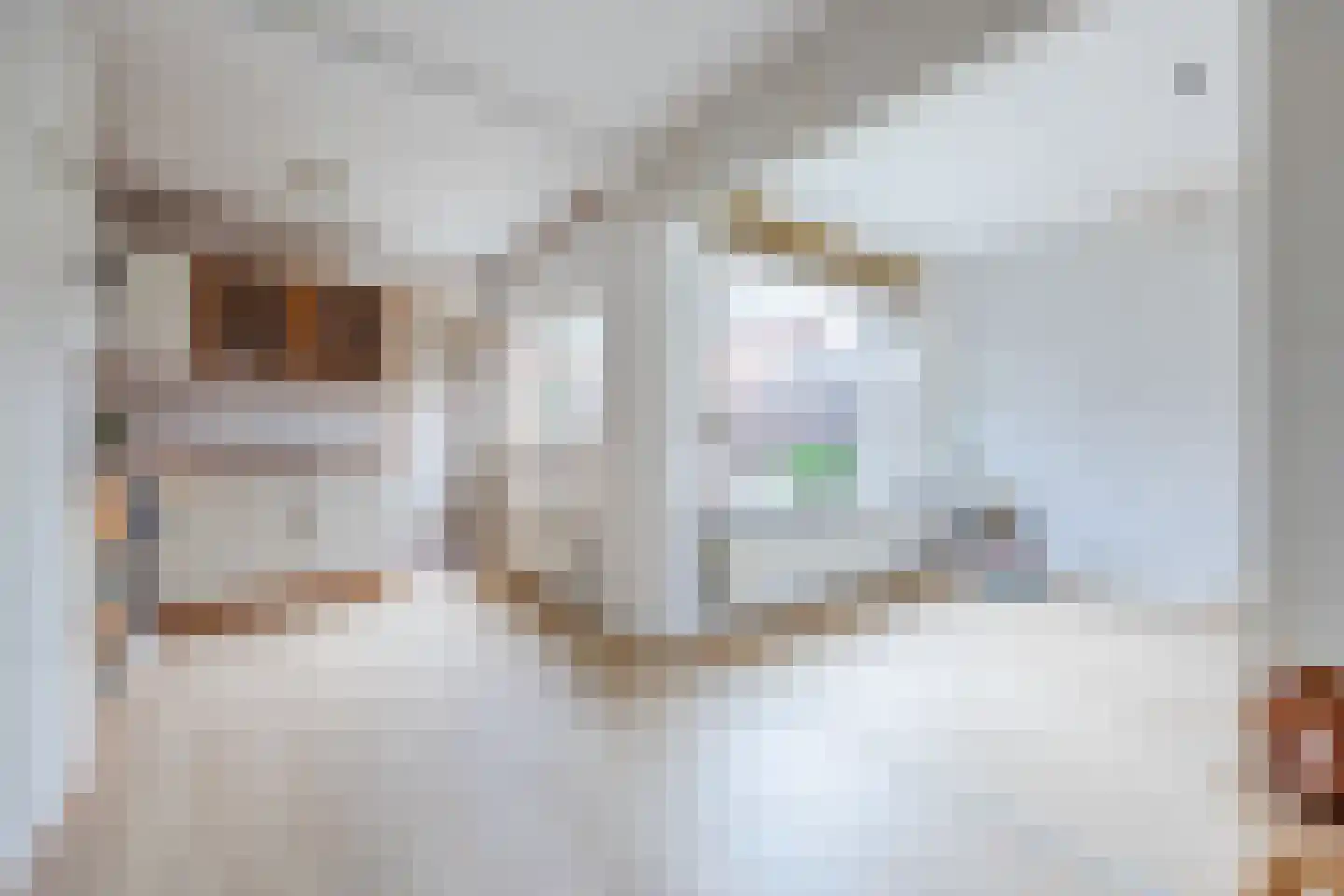 Axelsestraat 72 Zaamslag thumbnail 10