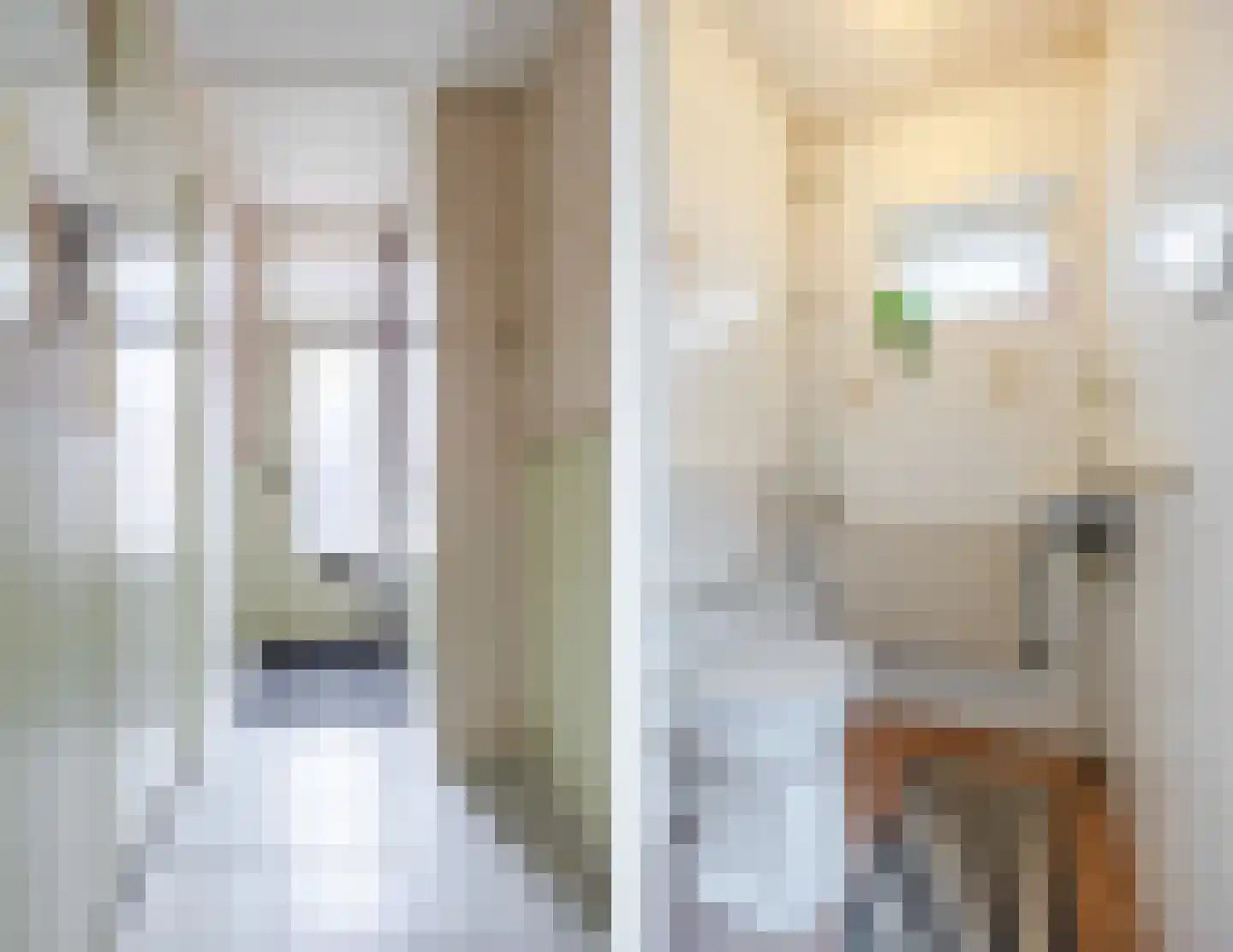 Axelsestraat 72 Zaamslag thumbnail 6