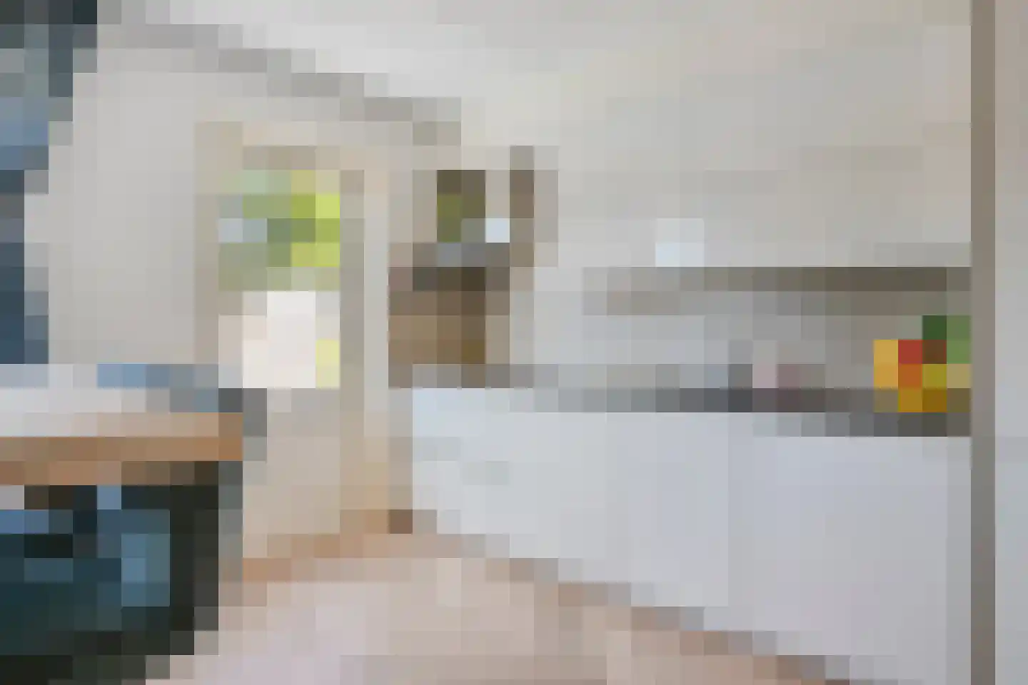 Axelsestraat 79 a Terneuzen thumbnail 10