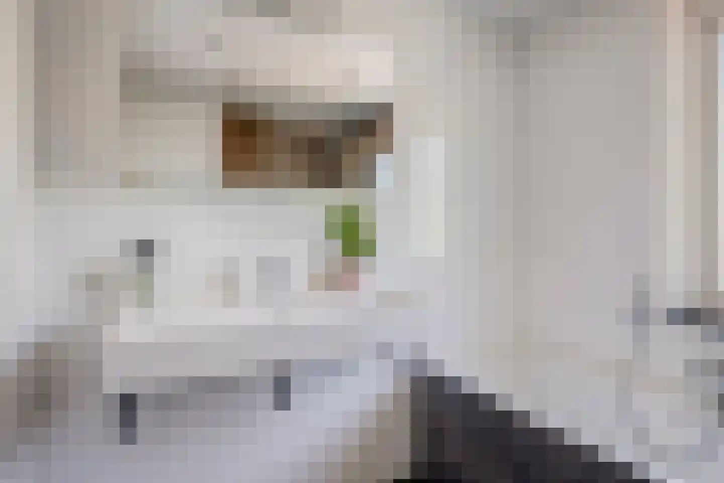 Axelsestraat 79 a Terneuzen thumbnail 18