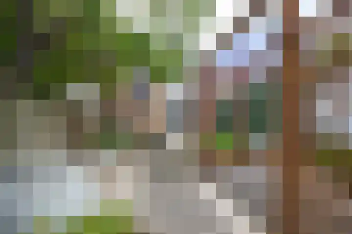 Axelsestraat 89 Terneuzen thumbnail 4
