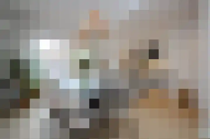 Axelsestraat 89 Terneuzen thumbnail 9