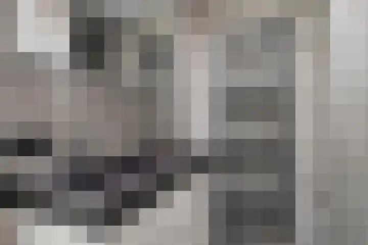 Axelsestraat 99 Zaamslag thumbnail 19
