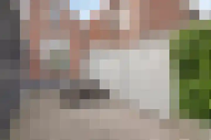 Axelsestraat 99 Zaamslag thumbnail 27