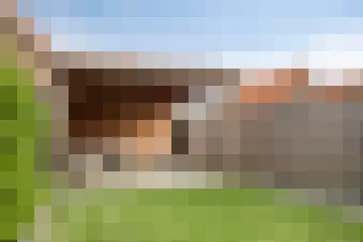 Axelsestraat 99 Zaamslag thumbnail 29