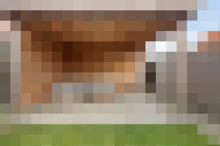 Axelsestraat 99 Zaamslag thumbnail 30