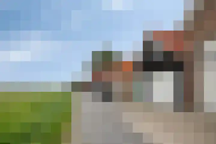 Axelsestraat 99 Zaamslag thumbnail 33