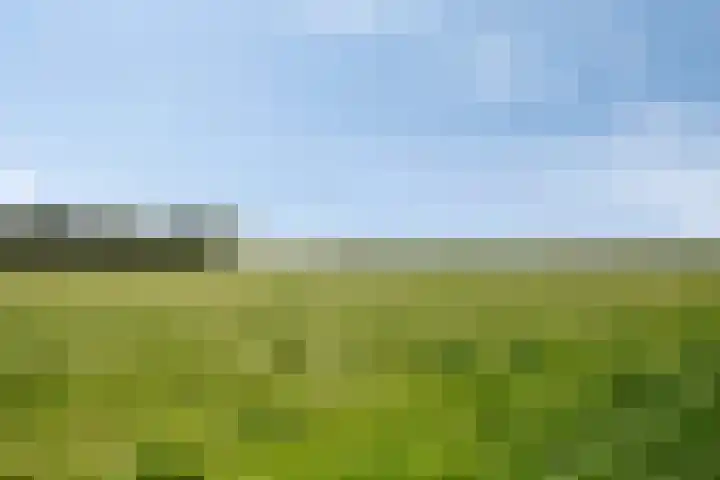 Axelsestraat 99 Zaamslag thumbnail 35
