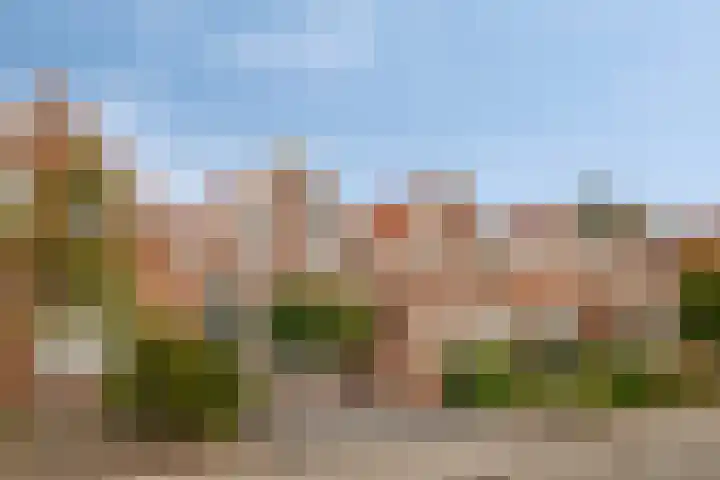 Axelsestraat 99 Zaamslag thumbnail 37