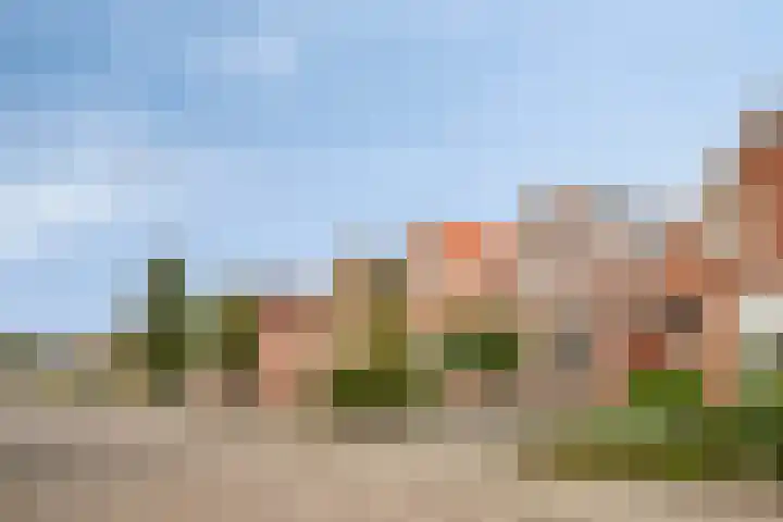 Axelsestraat 99 Zaamslag thumbnail 38