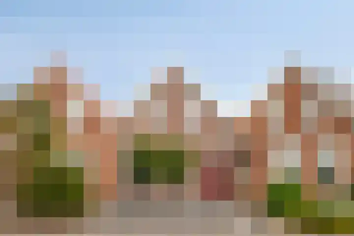 Axelsestraat 99 Zaamslag thumbnail 5