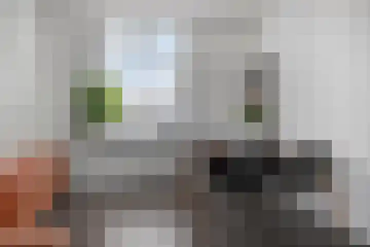 Axelsestraat 99 Zaamslag thumbnail 9