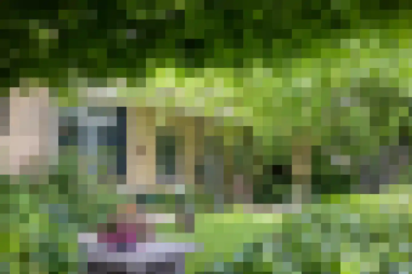 Axwijk 14 Middelie thumbnail 10