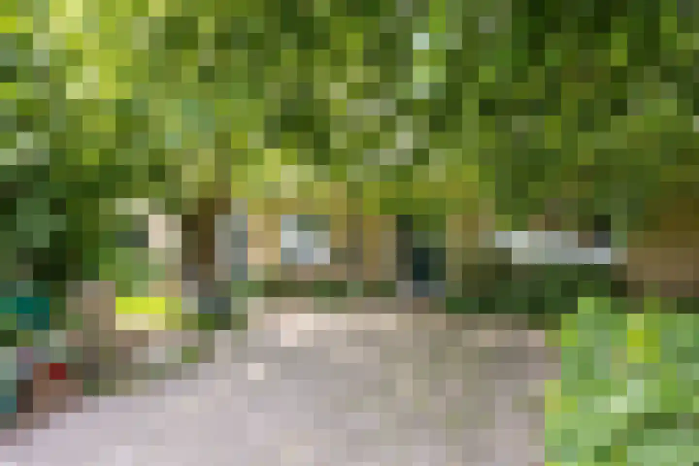 Axwijk 14 Middelie thumbnail 10