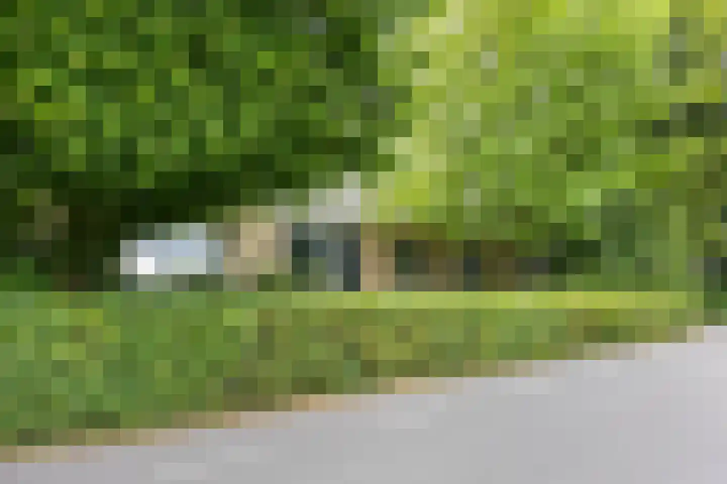 Axwijk 14 Middelie thumbnail 12