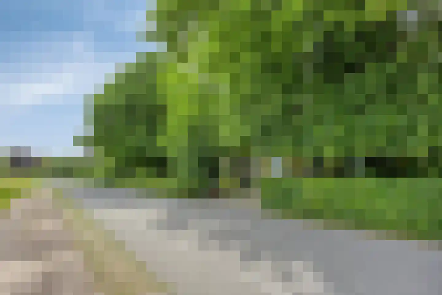 Axwijk 14 Middelie thumbnail 14