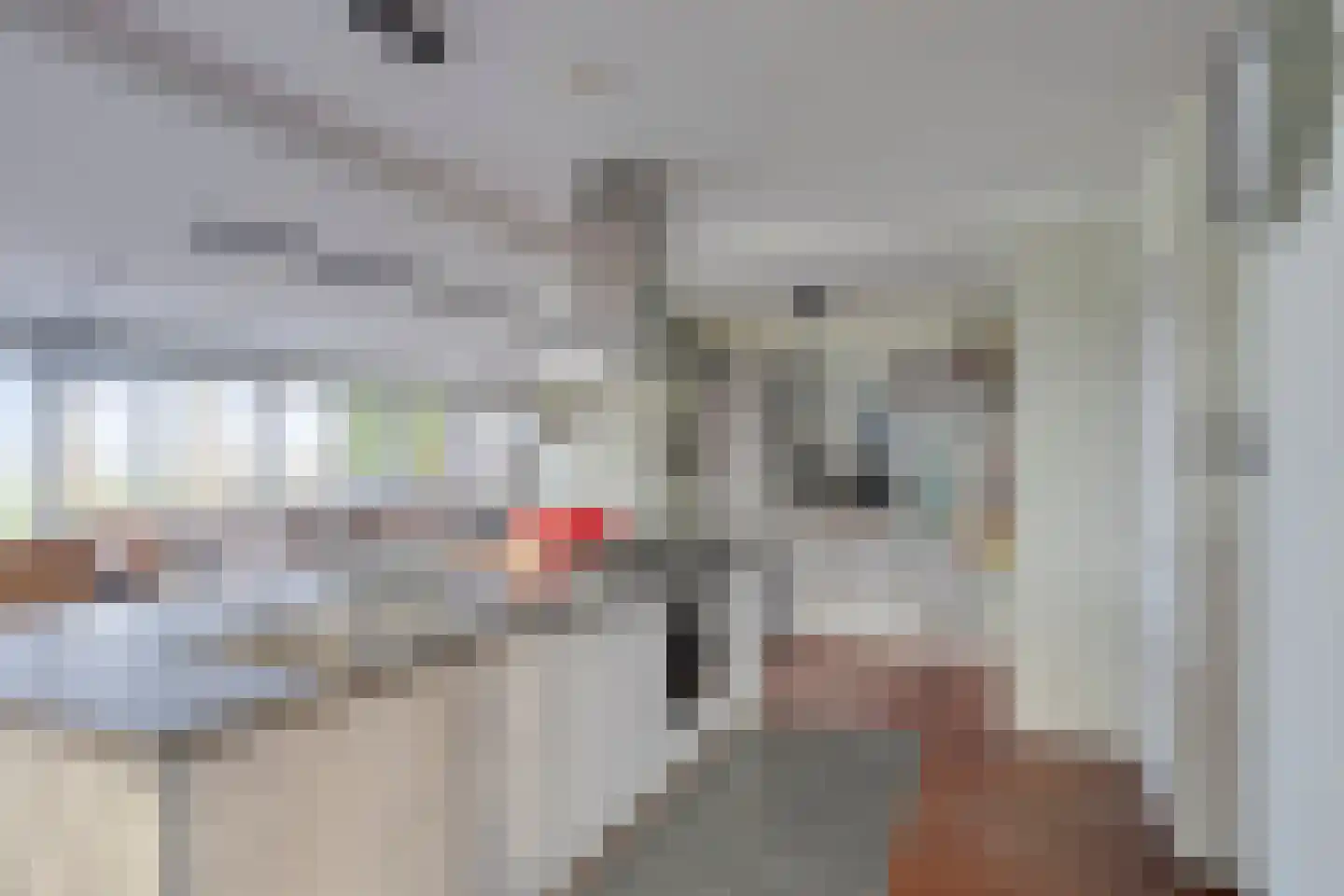 Axwijk 14 Middelie thumbnail 23