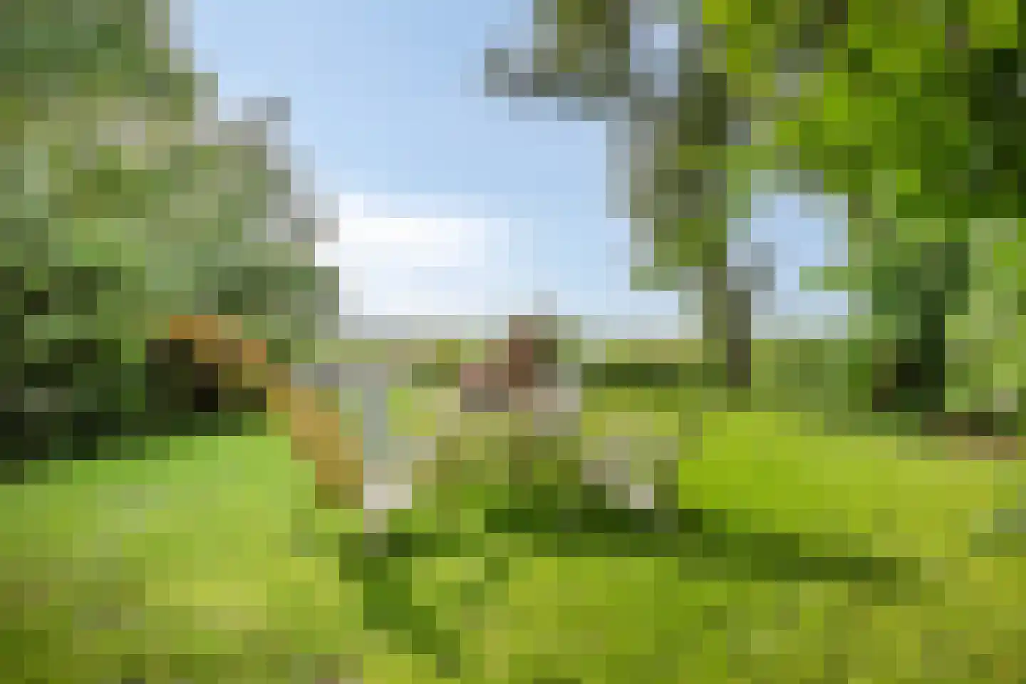 Axwijk 14 Middelie thumbnail 4