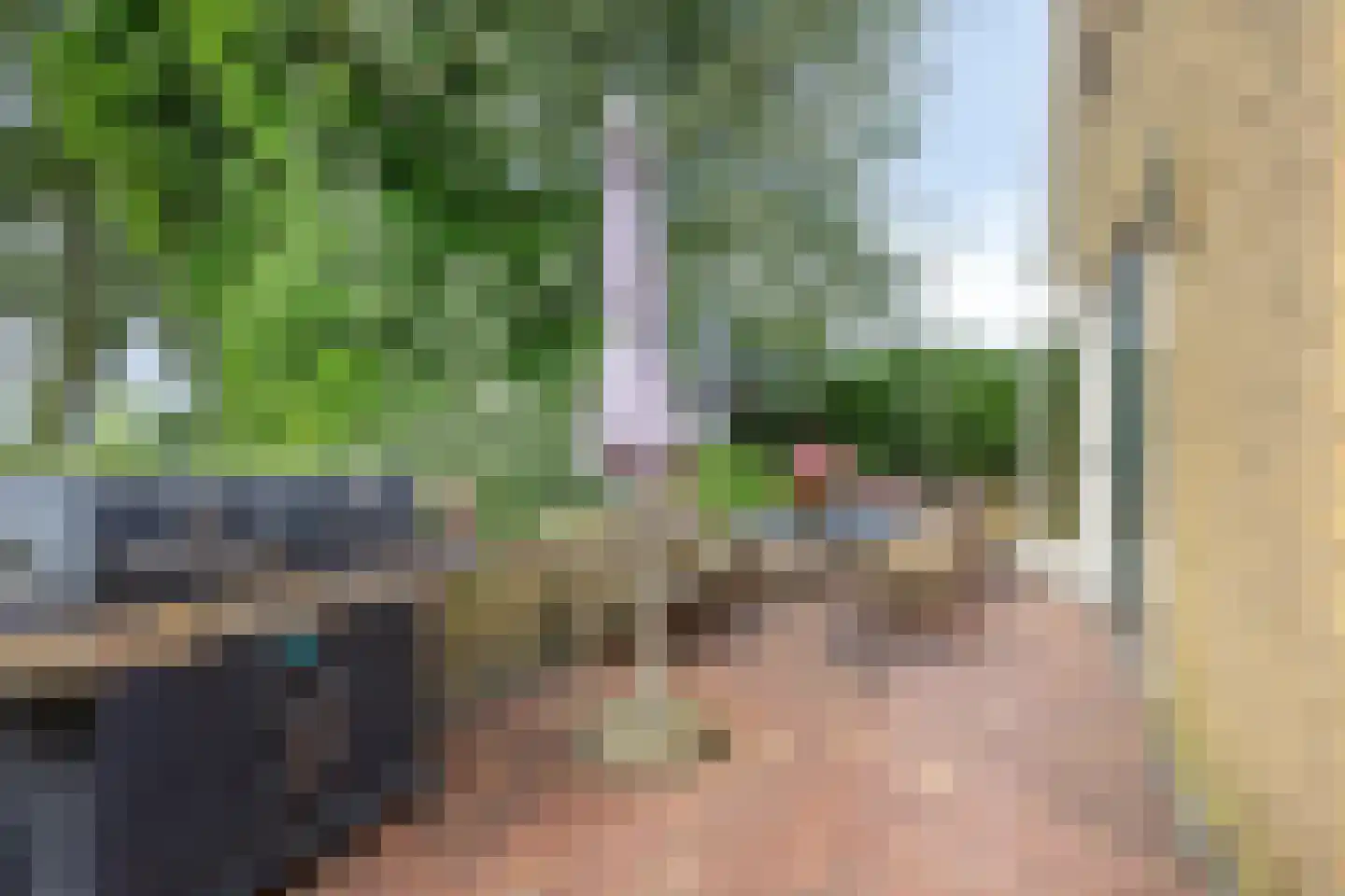 Axwijk 14 Middelie thumbnail 59