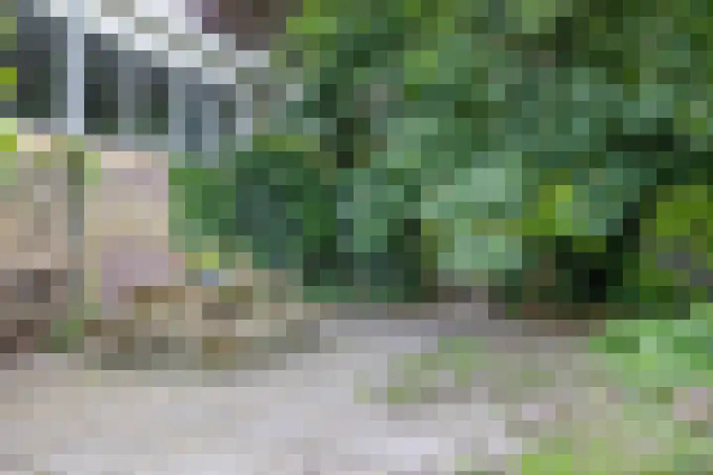 Axwijk 14 Middelie thumbnail 61