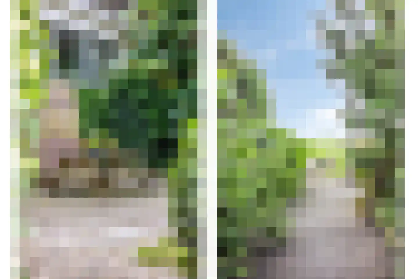 Axwijk 14 Middelie thumbnail 62