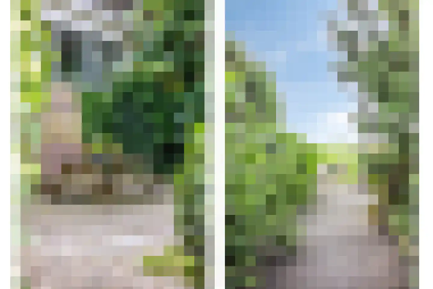 Axwijk 14 Middelie thumbnail 62