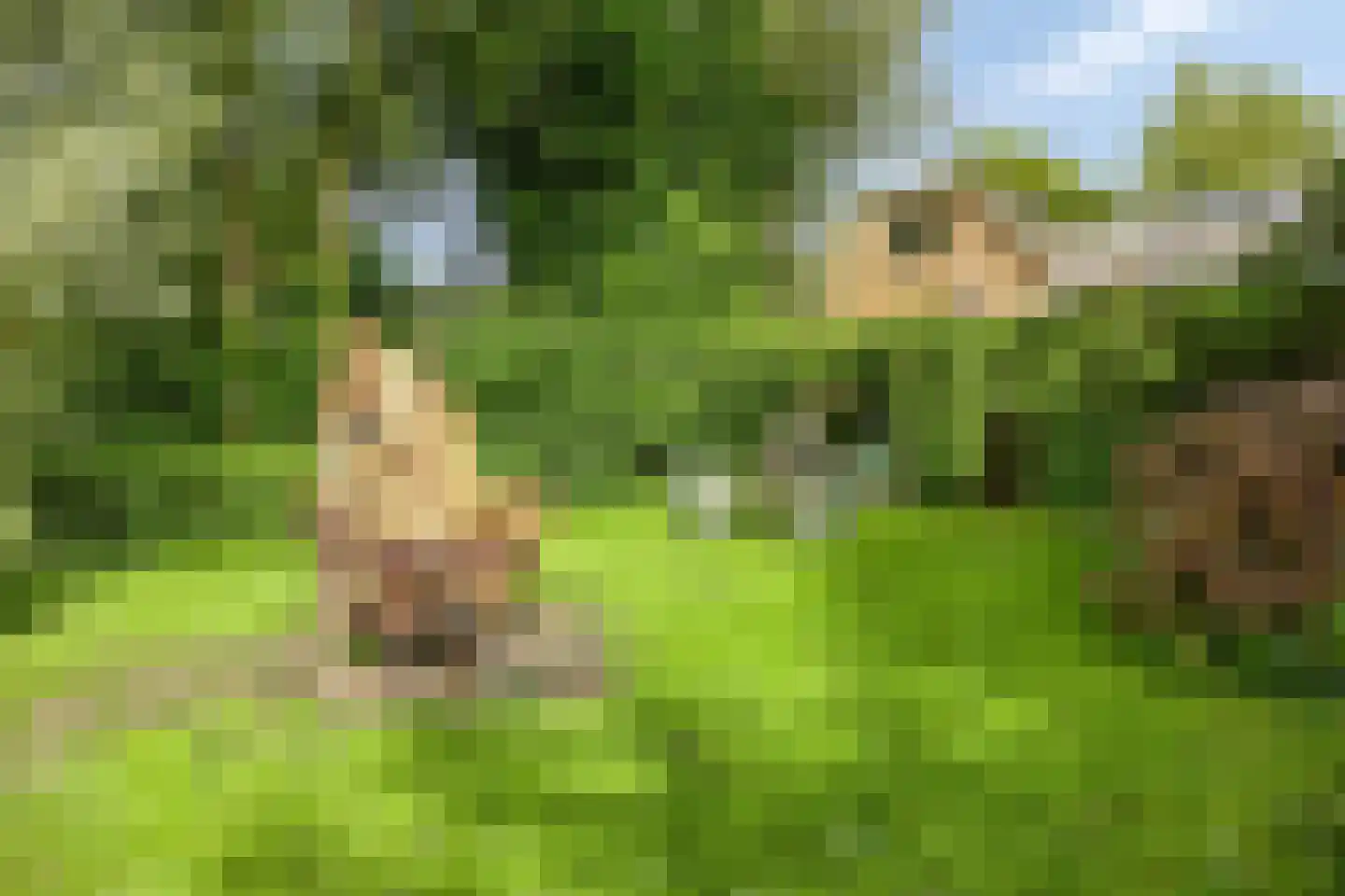 Axwijk 14 Middelie thumbnail 63