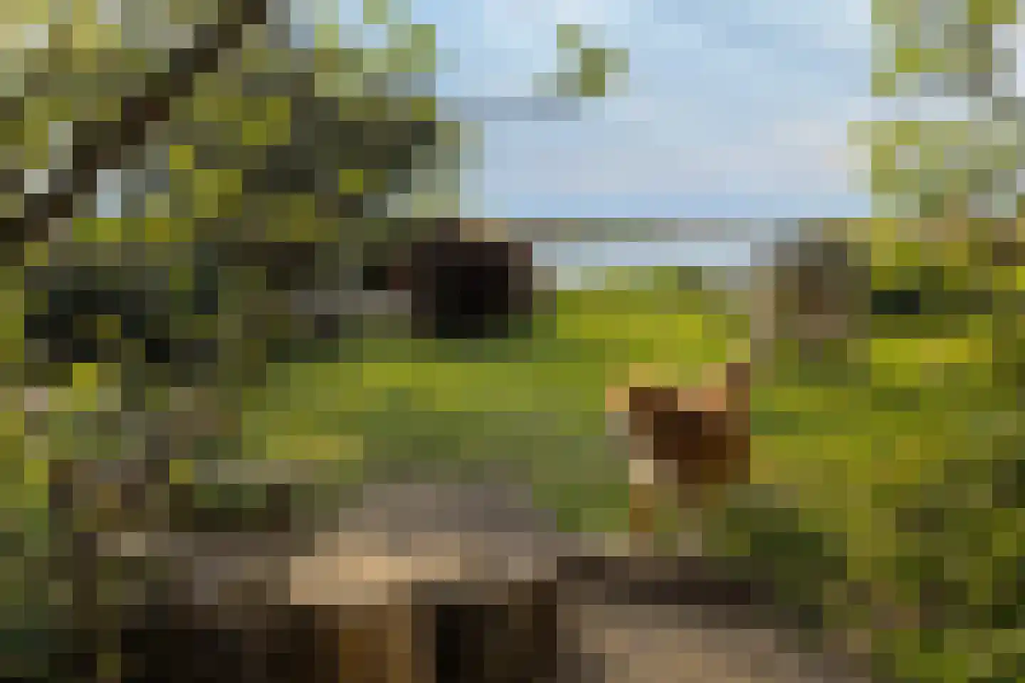 Axwijk 14 Middelie thumbnail 65