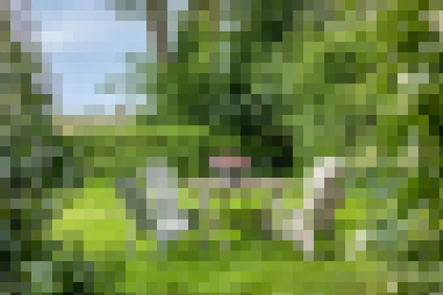 Axwijk 14 Middelie thumbnail 66