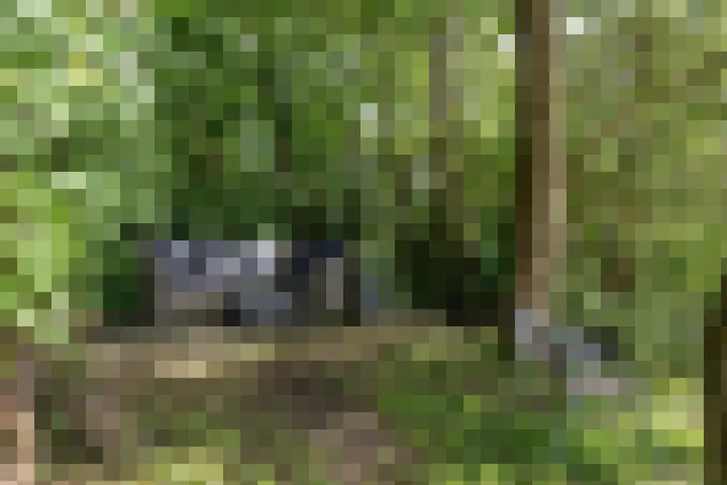 Axwijk 14 Middelie thumbnail 67