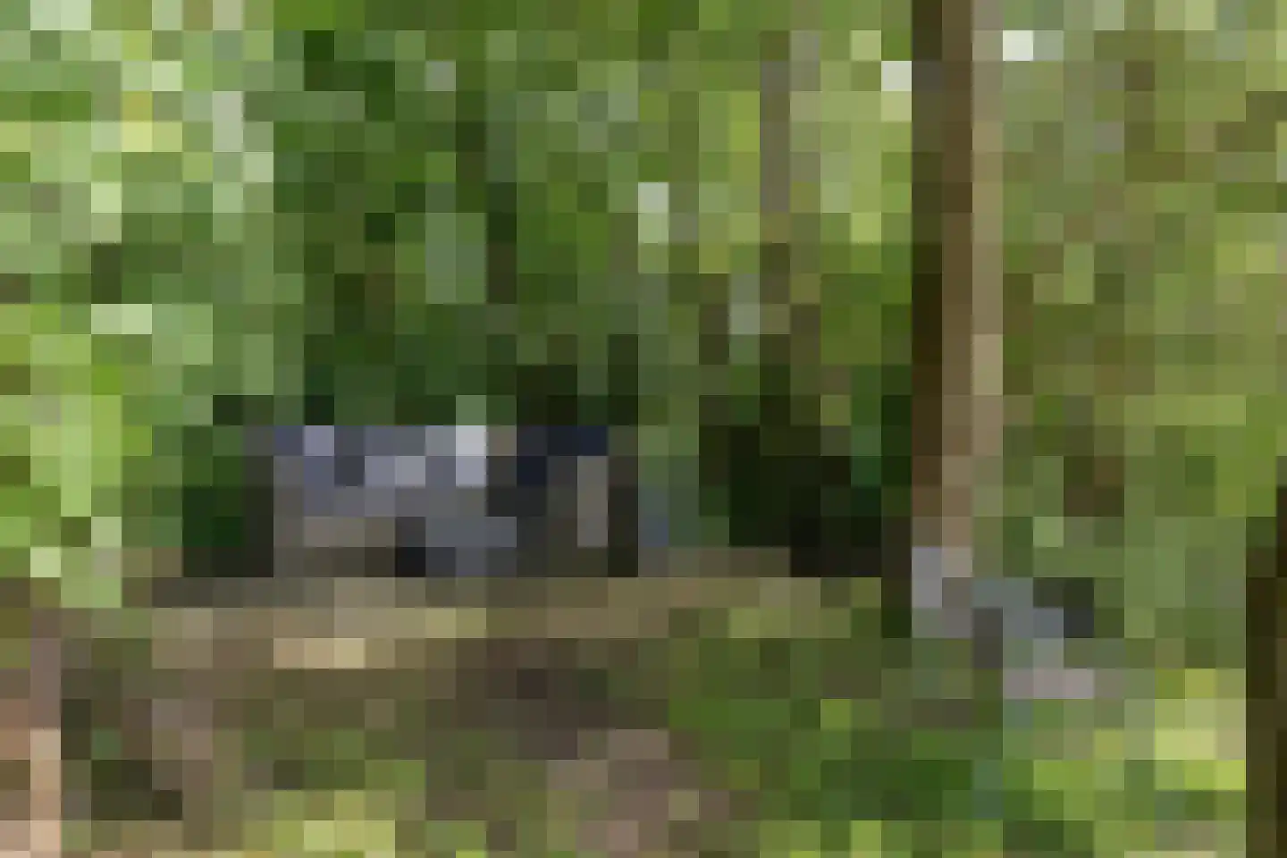 Axwijk 14 Middelie thumbnail 67
