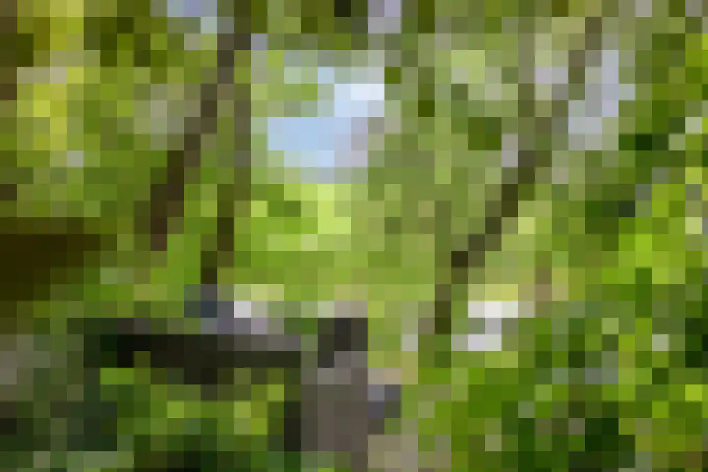 Axwijk 14 Middelie thumbnail 69