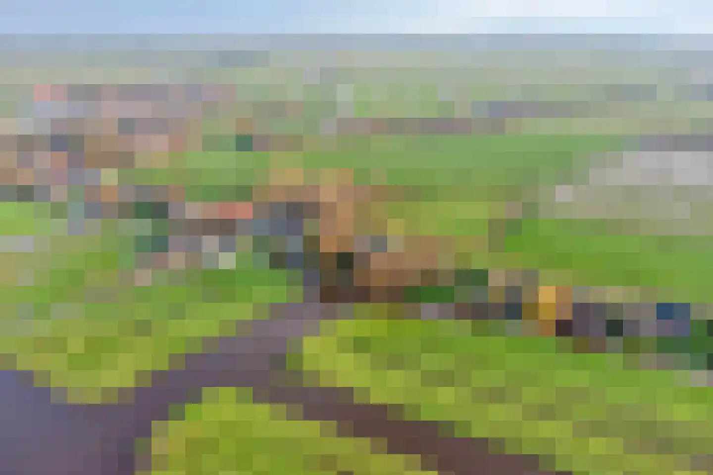 Axwijk 14 Middelie thumbnail 7