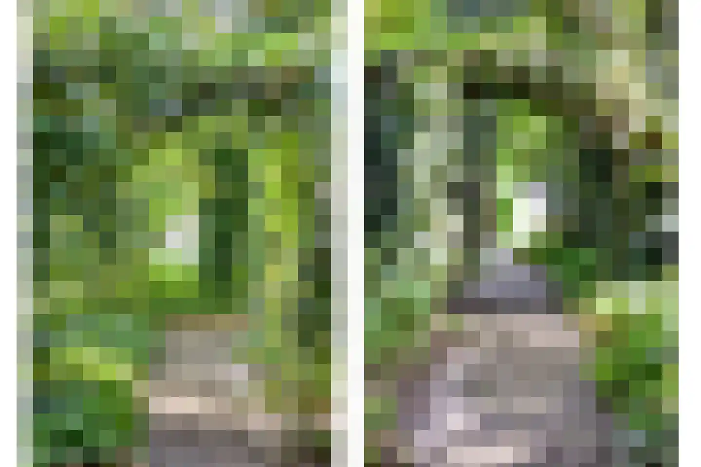 Axwijk 14 Middelie thumbnail 70