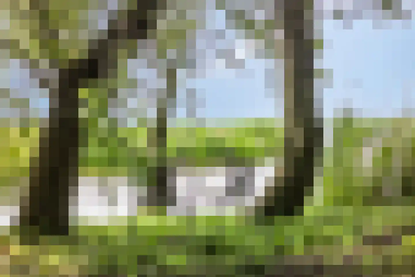 Axwijk 14 Middelie thumbnail 71