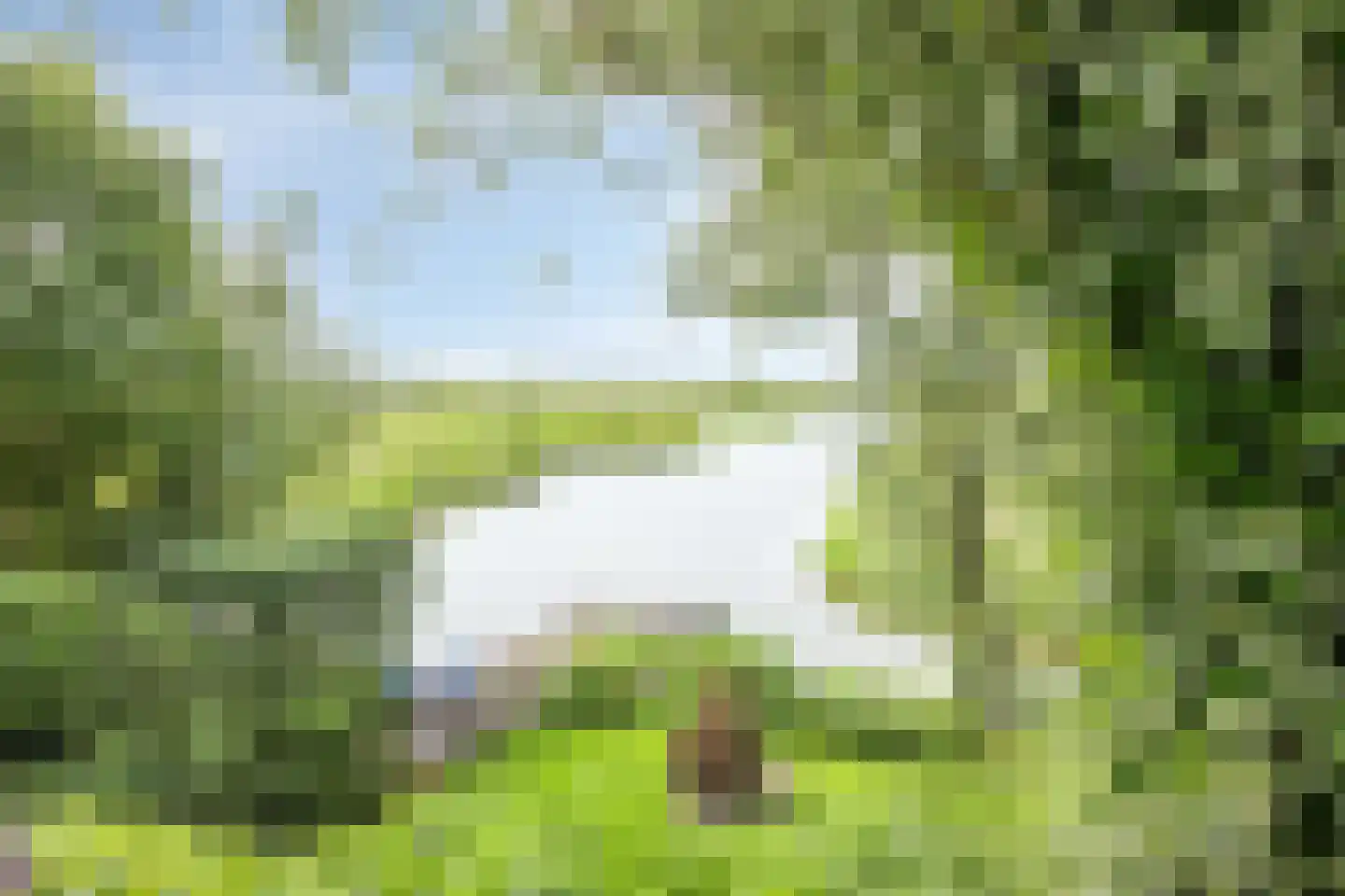 Axwijk 14 Middelie thumbnail 73