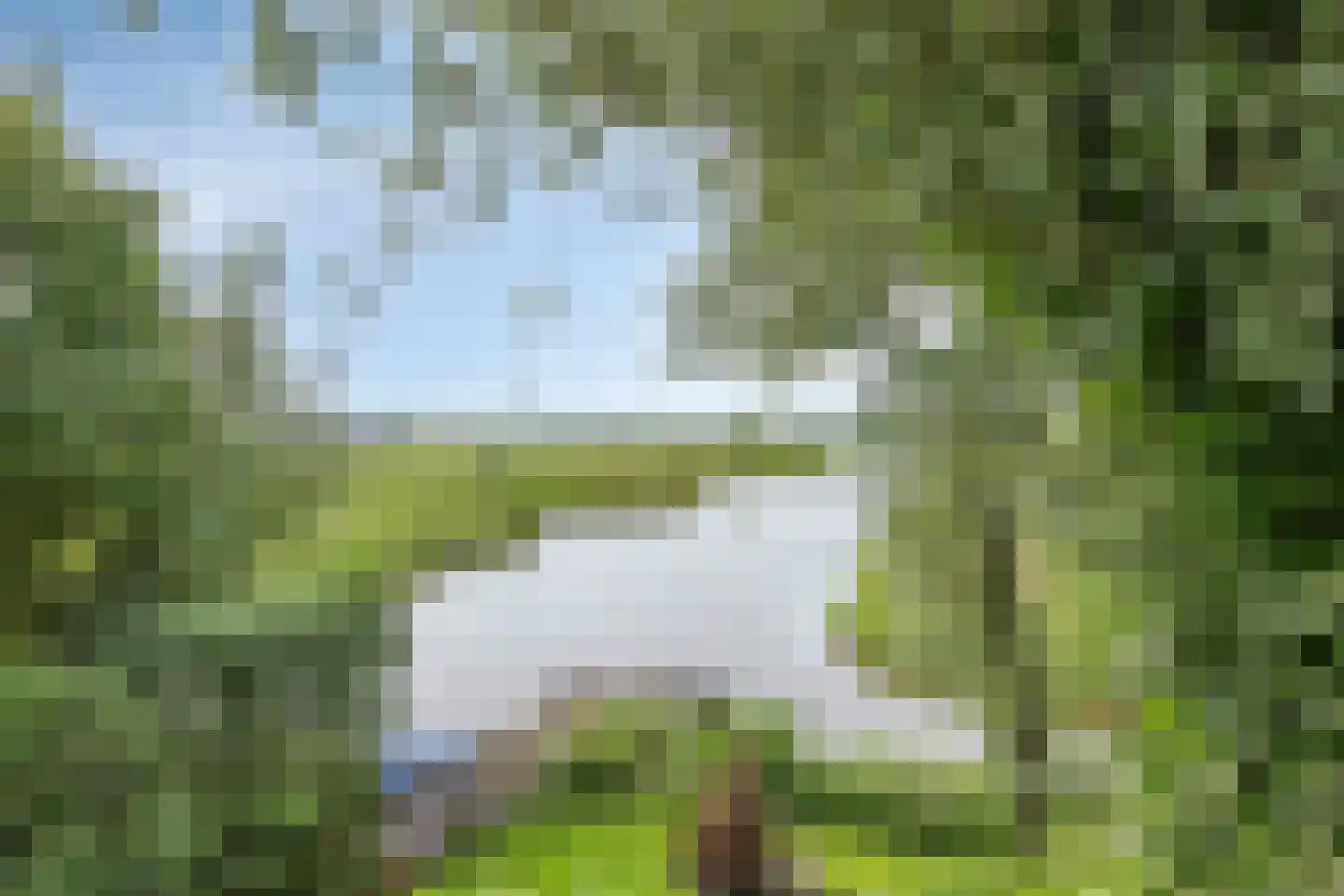 Axwijk 14 Middelie thumbnail 74