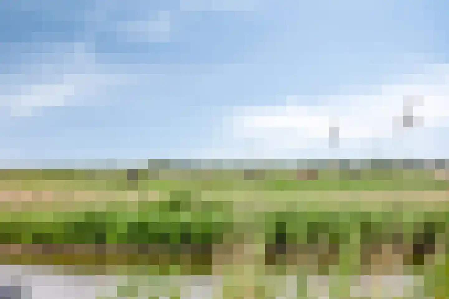 Axwijk 14 Middelie thumbnail 76