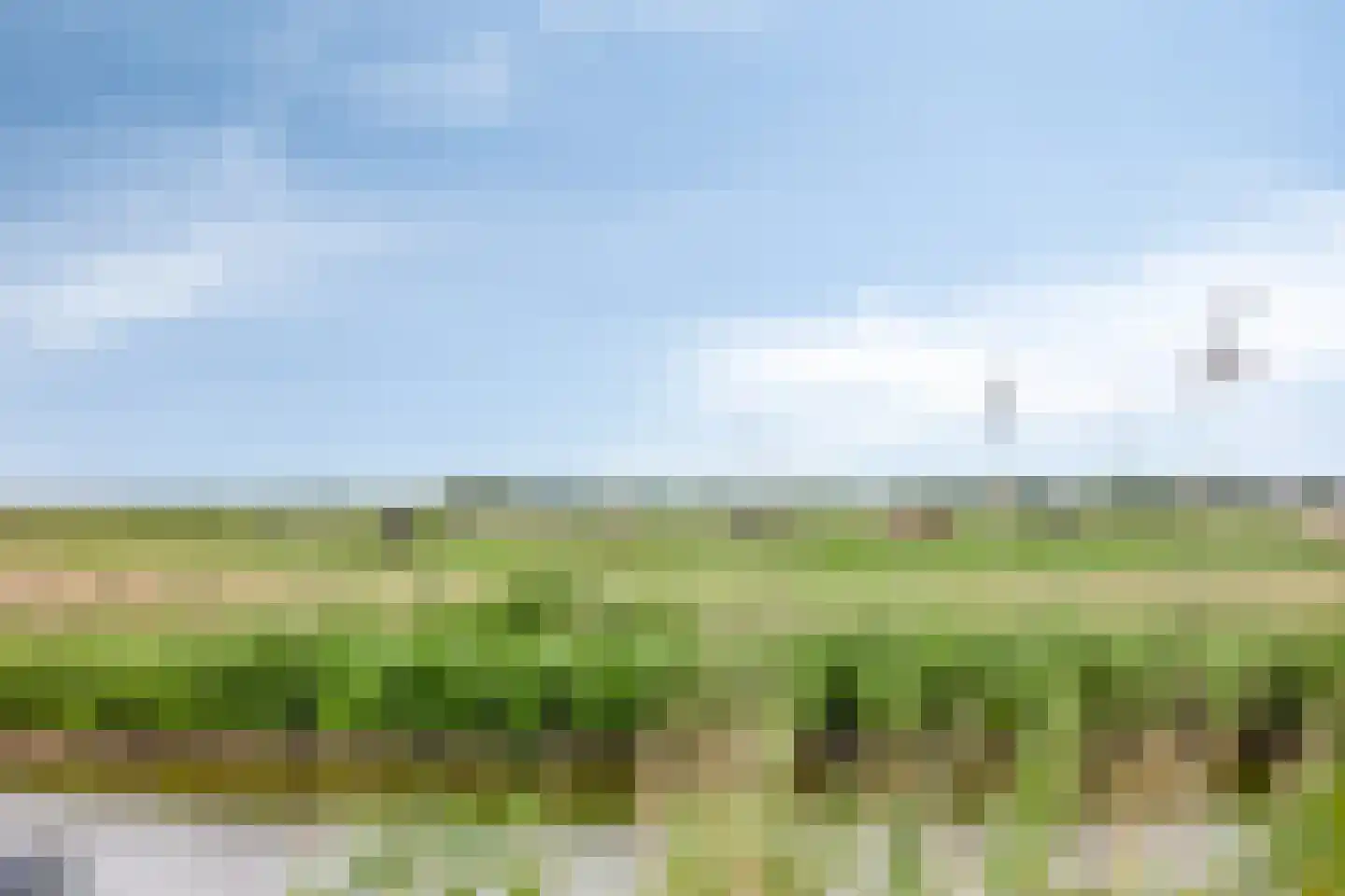 Axwijk 14 Middelie thumbnail 76