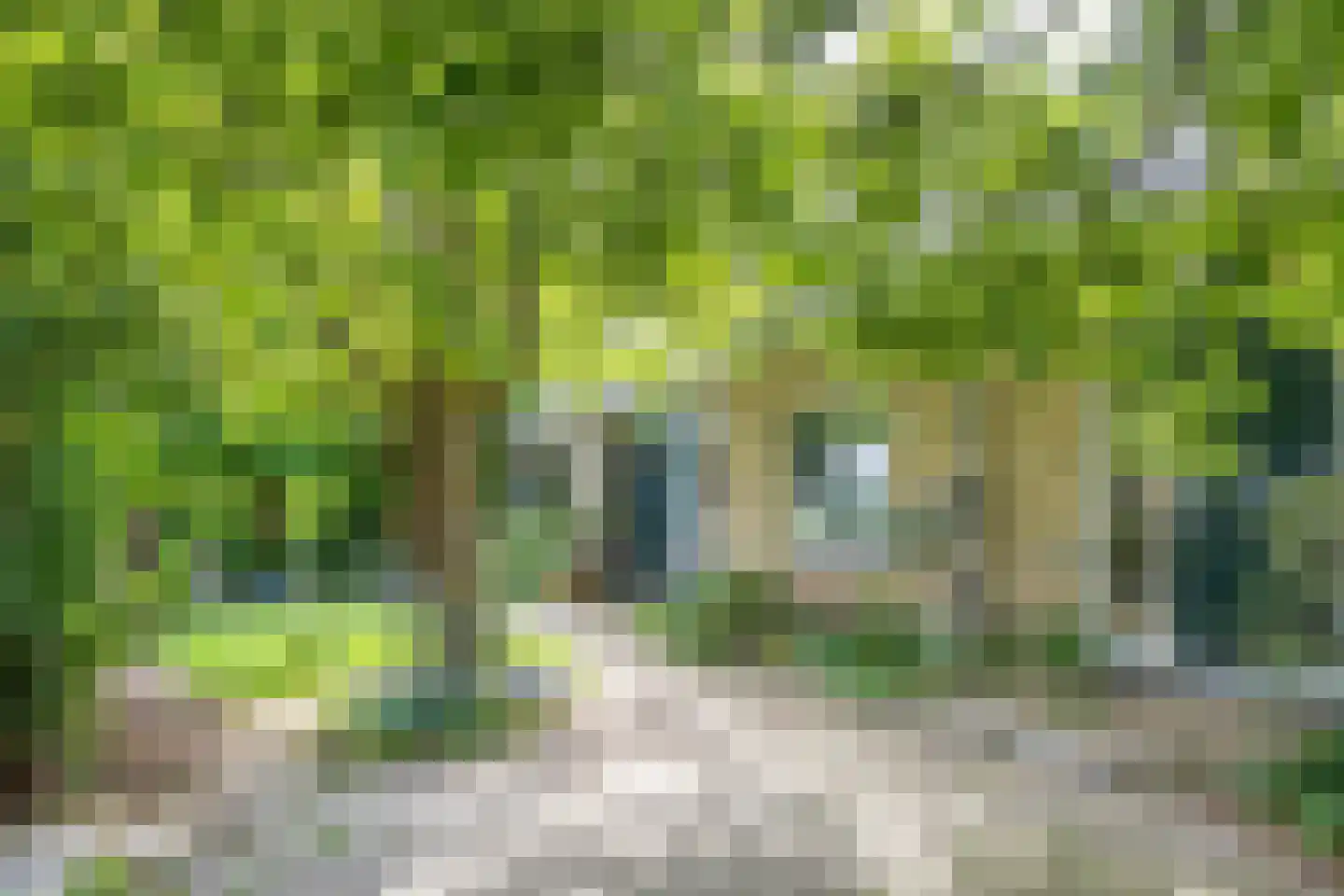 Axwijk 14 Middelie thumbnail 8