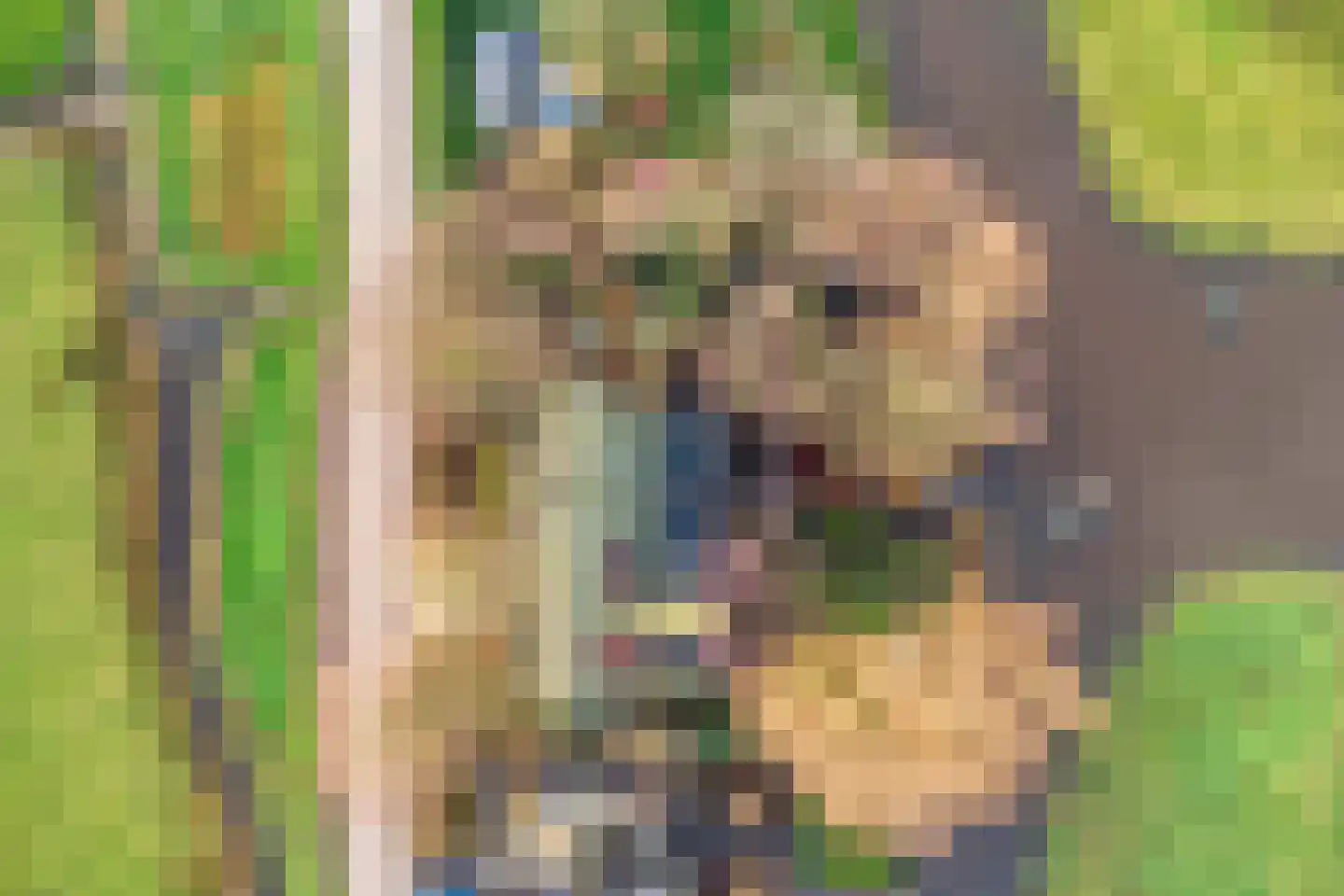 Axwijk 14 Middelie thumbnail 86