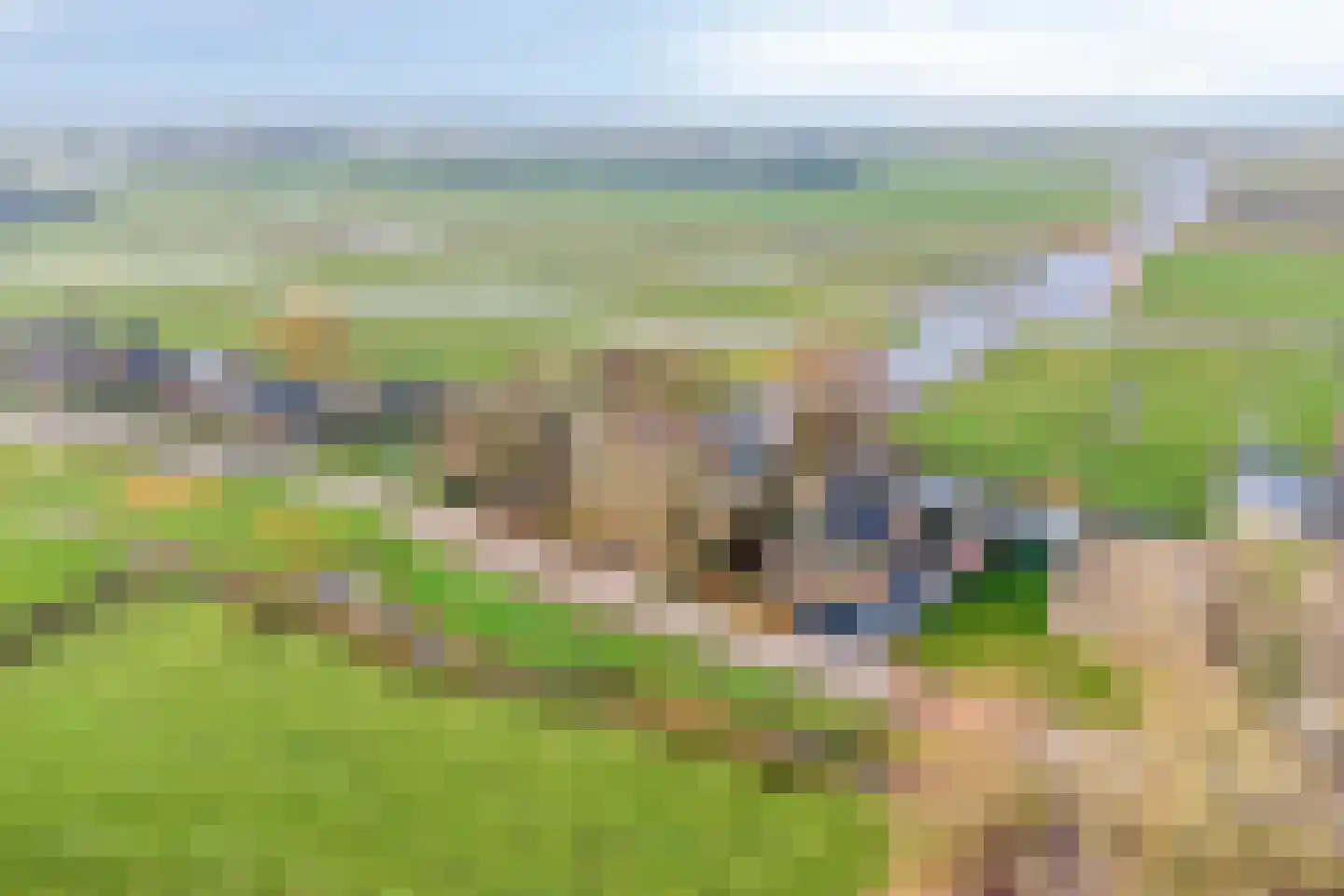 Axwijk 14 Middelie thumbnail 93