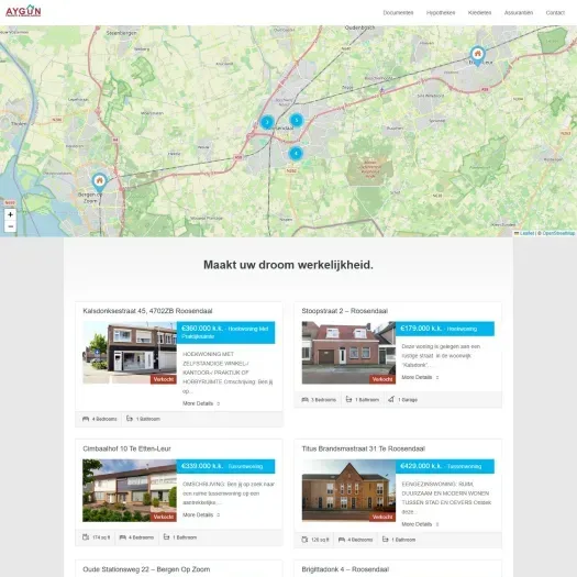 Screenshot van de website van www.aygunfinance.nl